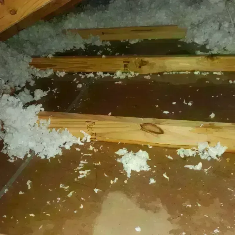 Attic Water Damage in Lane County, KS