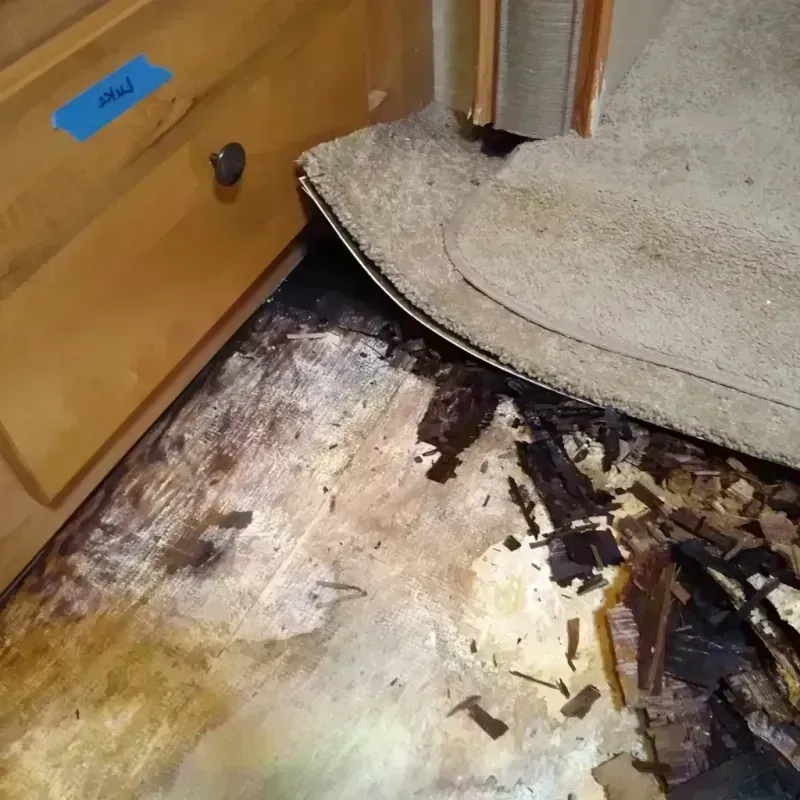 Wood Floor Water Damage in Lane County, KS